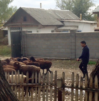 La vida rural en Kirguistán.