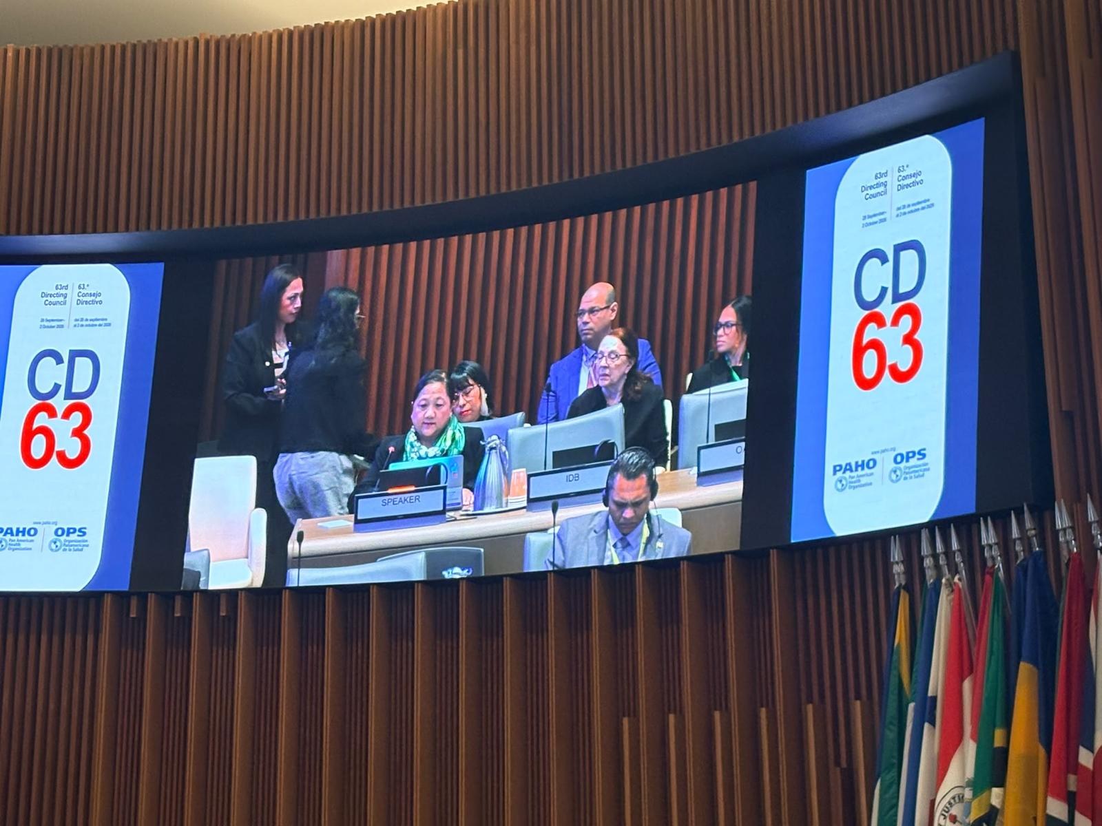 The WONCA delegation on screen in the Council chamber